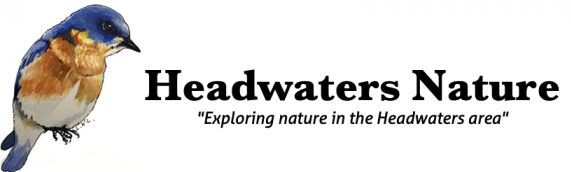 Headwaters Nature