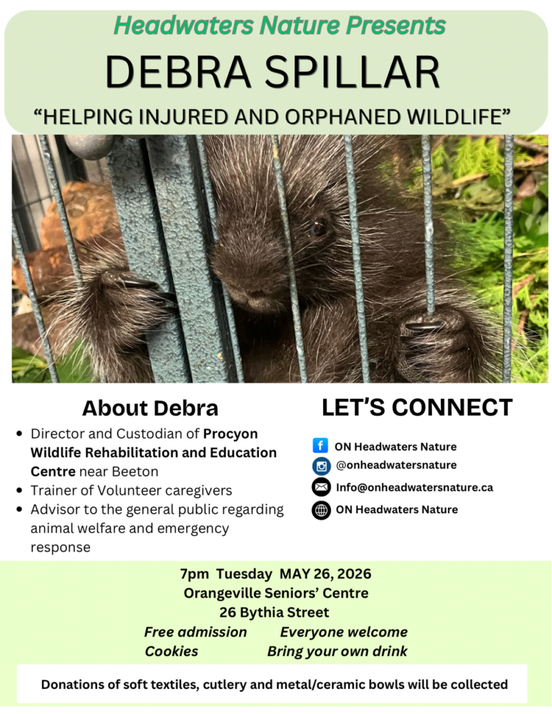 HN Debra Spillar flyer 2026May26